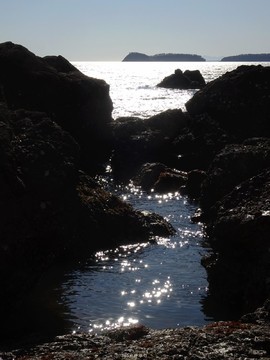 mmexport1553396063097