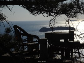 mmexport1553396095666