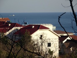 mmexport1553396125678