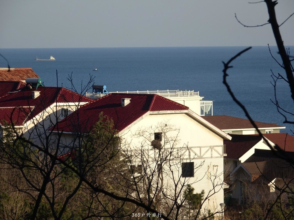 mmexport1553396125678