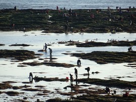 mmexport1553396139230