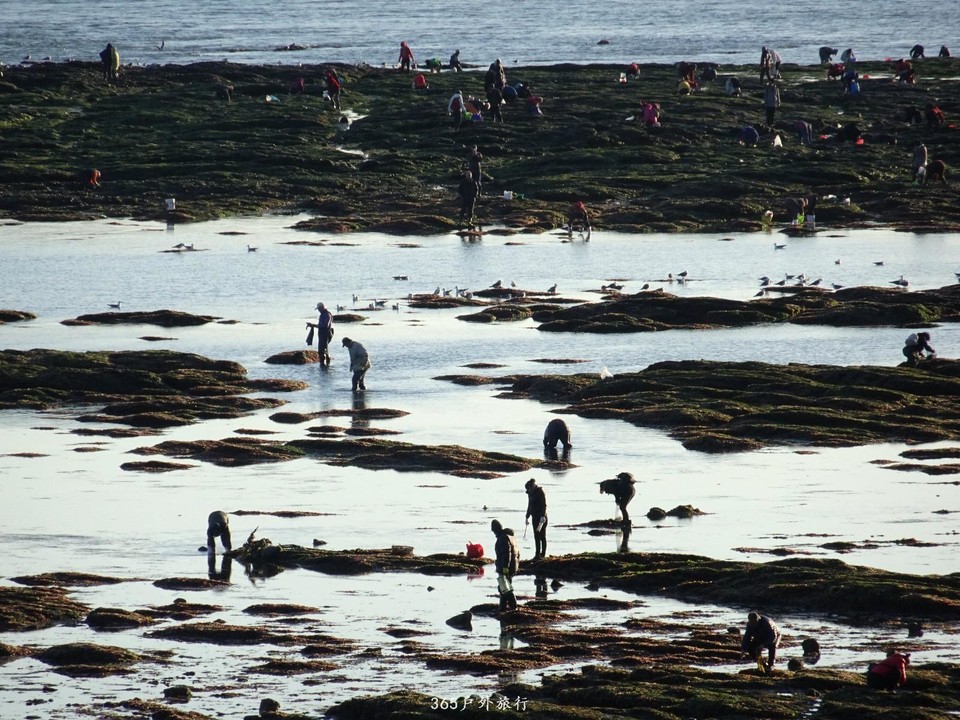 mmexport1553396139230