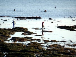 mmexport1553396150418