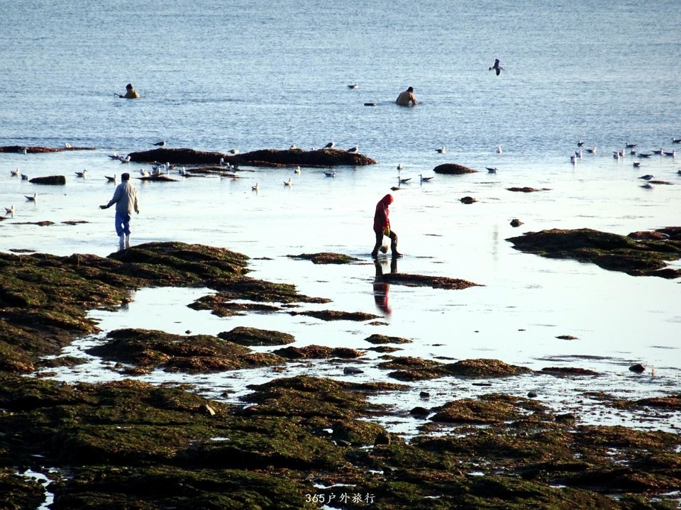 mmexport1553396150418