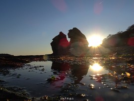 mmexport1553396177996