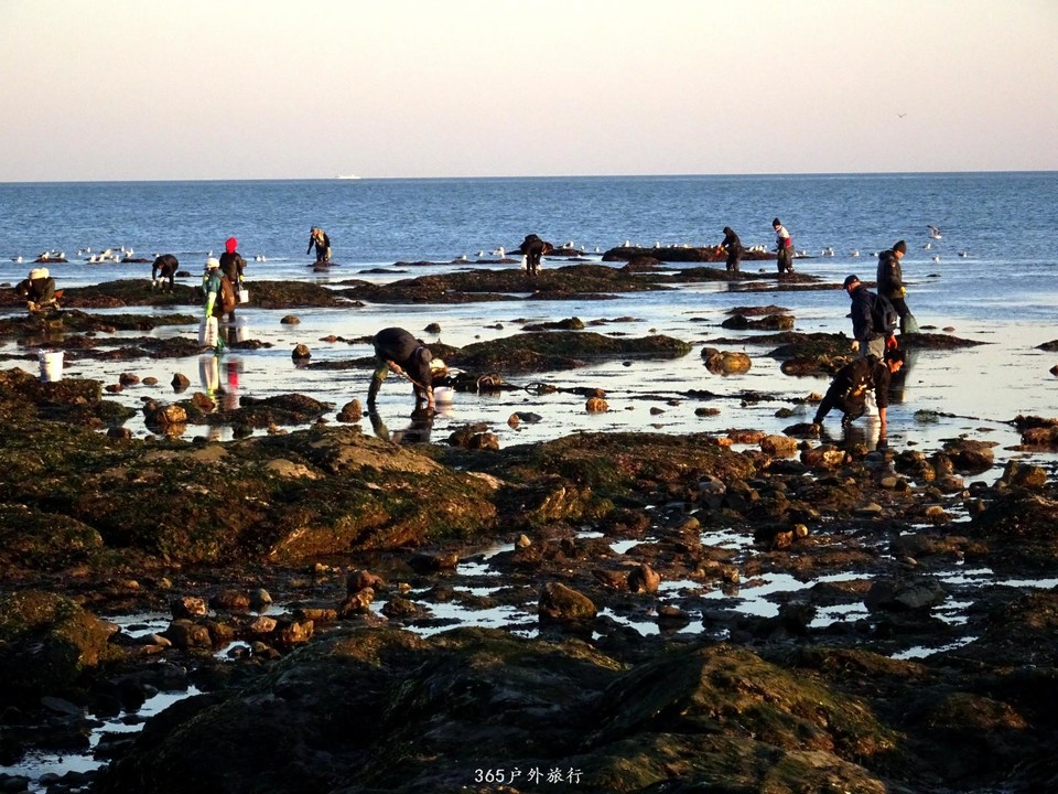 mmexport1553396238035