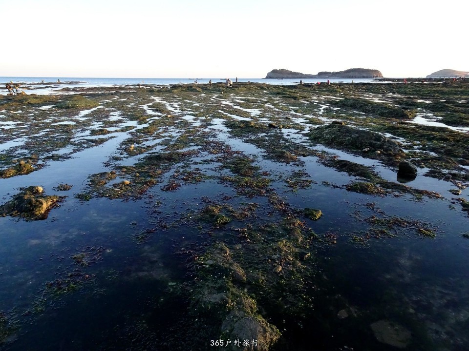 mmexport1553396250365