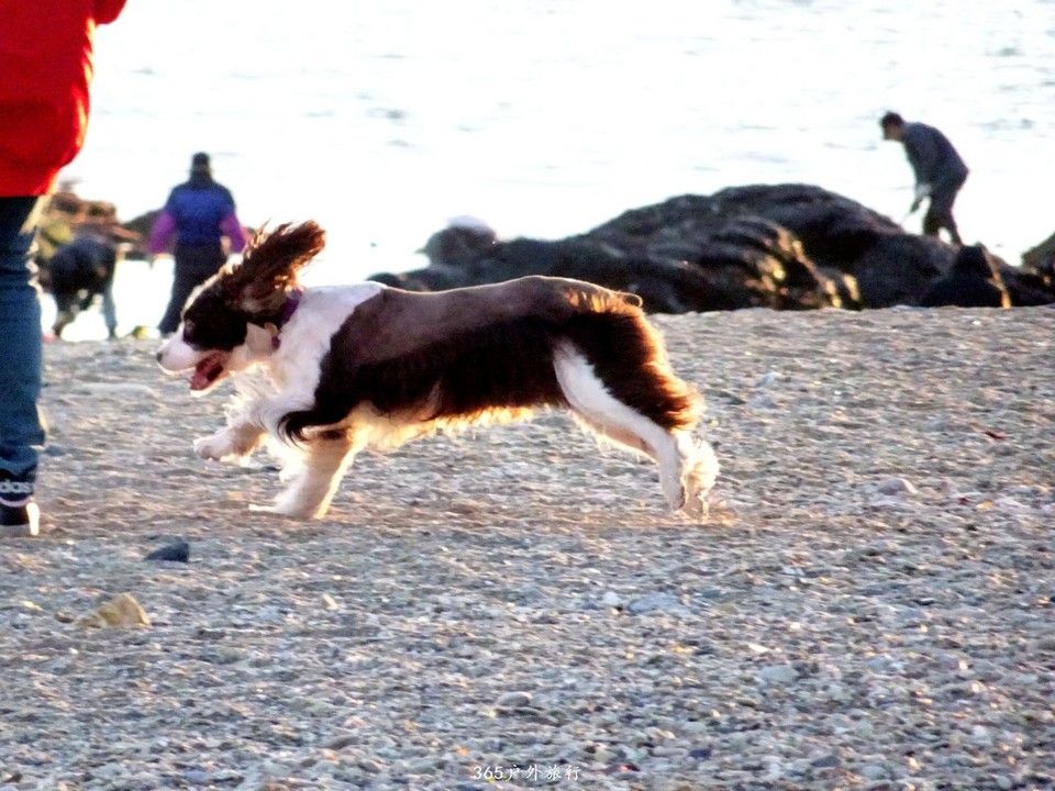 mmexport1553396262799