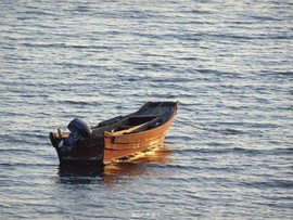 mmexport1553396274150