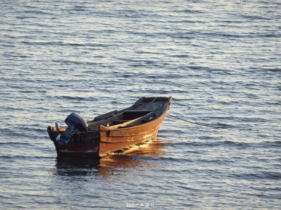 mmexport1553396274150