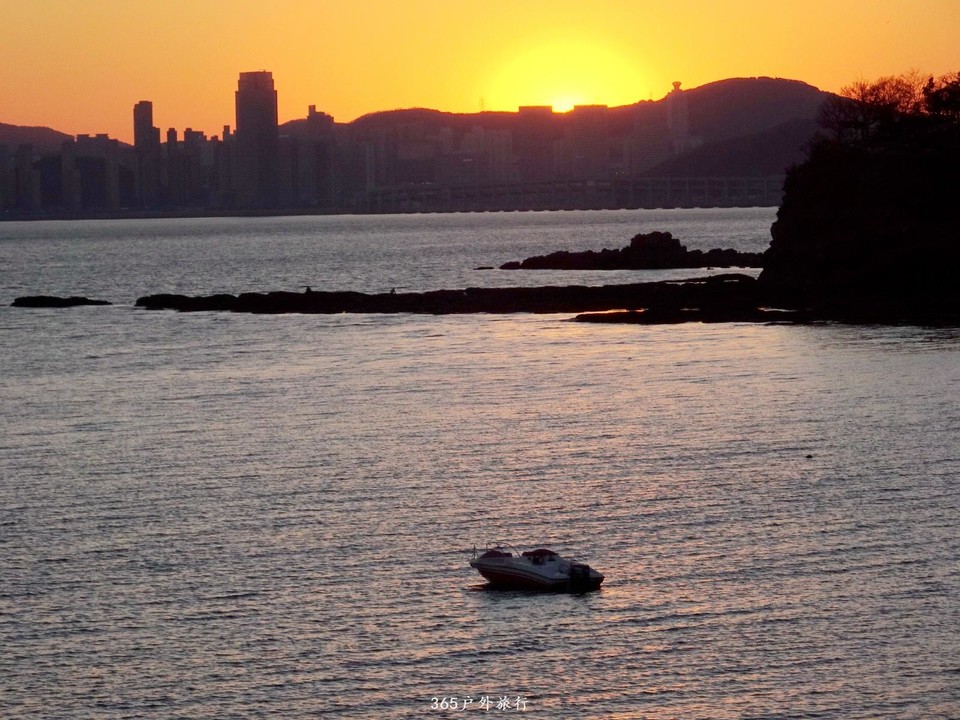 mmexport1553396296855