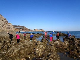 mmexport1553397508552