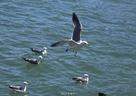 mmexport1553395784666