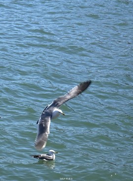 mmexport1553395794047