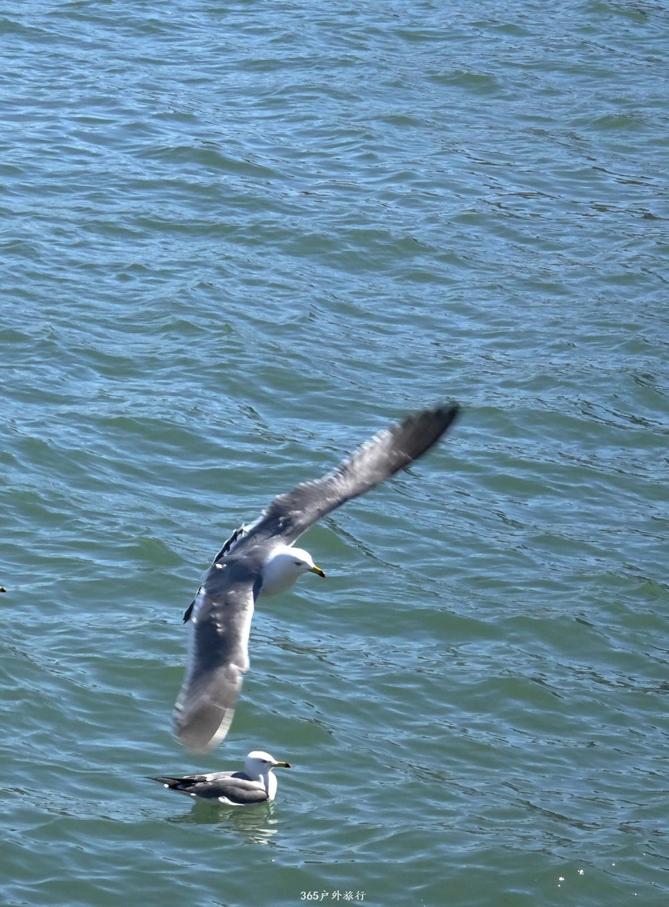 mmexport1553395794047