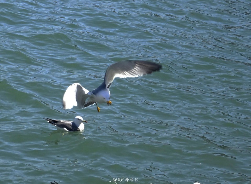 mmexport1553395823679