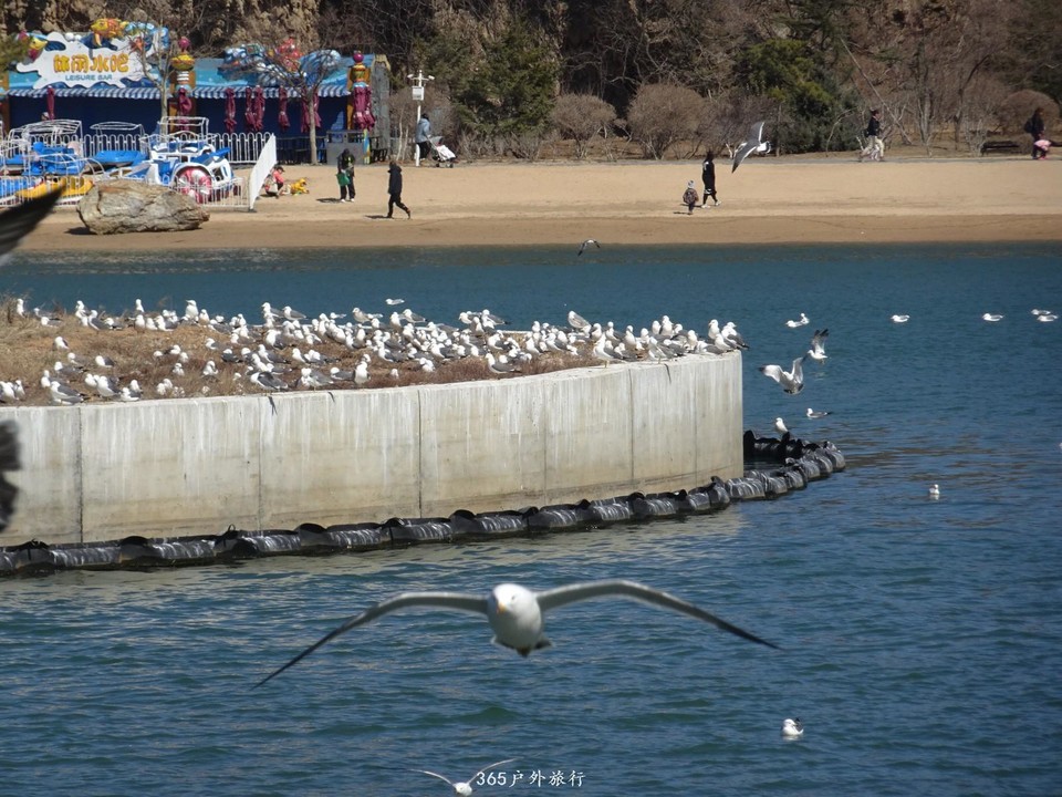 mmexport1553395834870