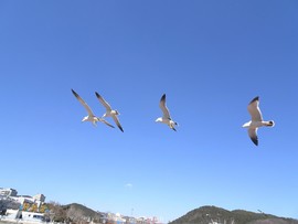 mmexport1553395849200