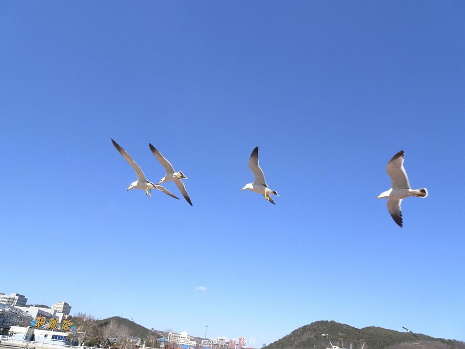 mmexport1553395849200