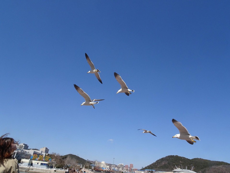 mmexport1553395859373