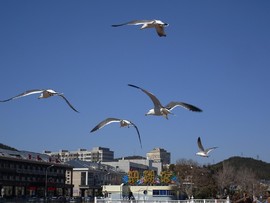 mmexport1553395873768