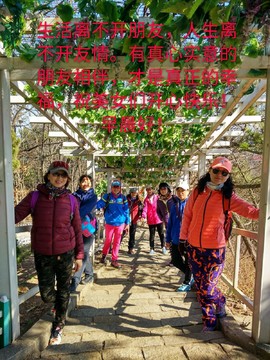 mmexport1553469600238_mh1553470062423