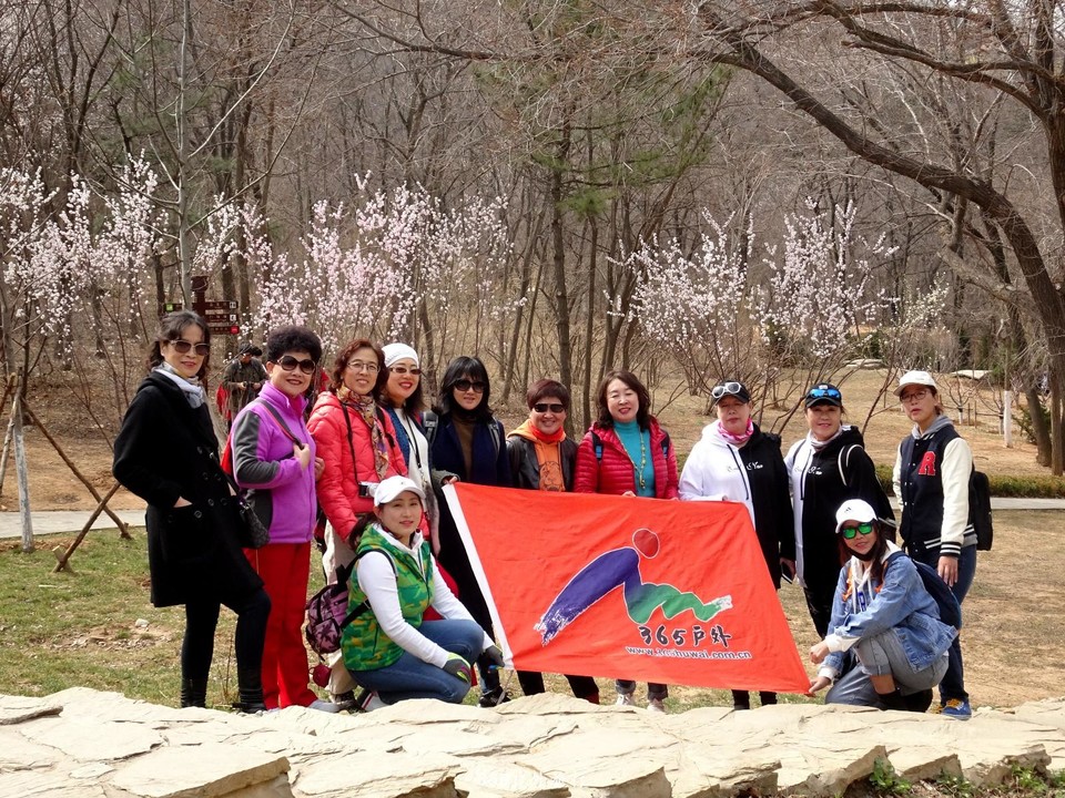 mmexport1553773252838