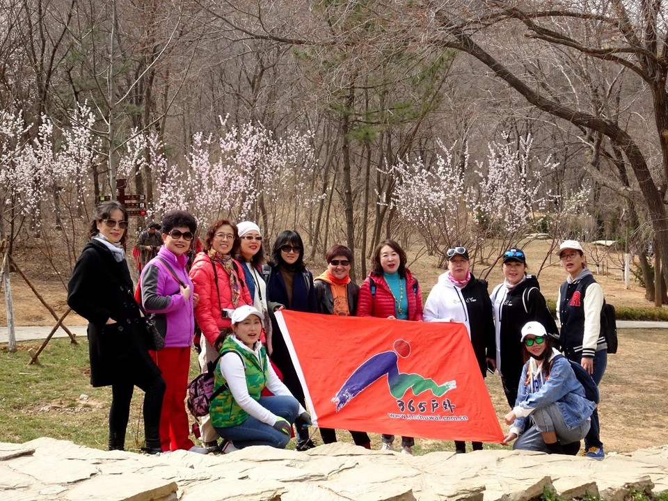 mmexport1553773264643