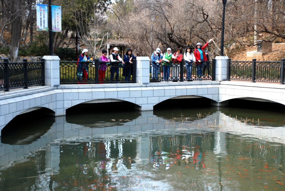 mmexport1553773202086