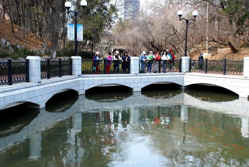 mmexport1553773216811