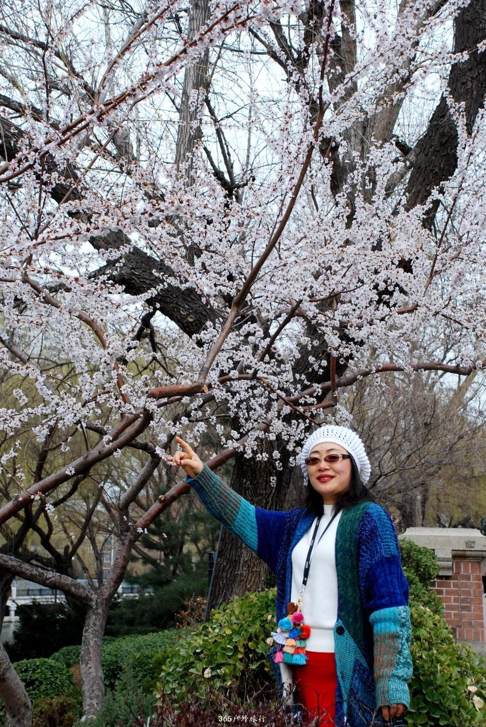 mmexport1553774090403