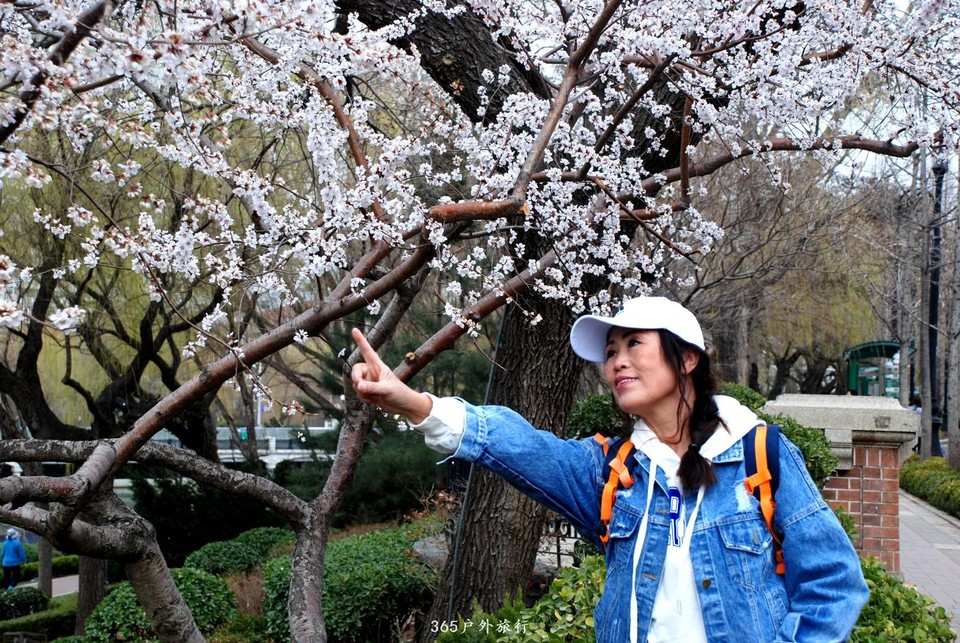 mmexport1553773227043