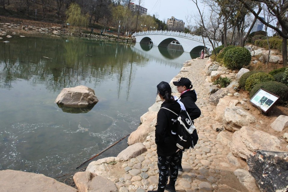 mmexport1553771399722