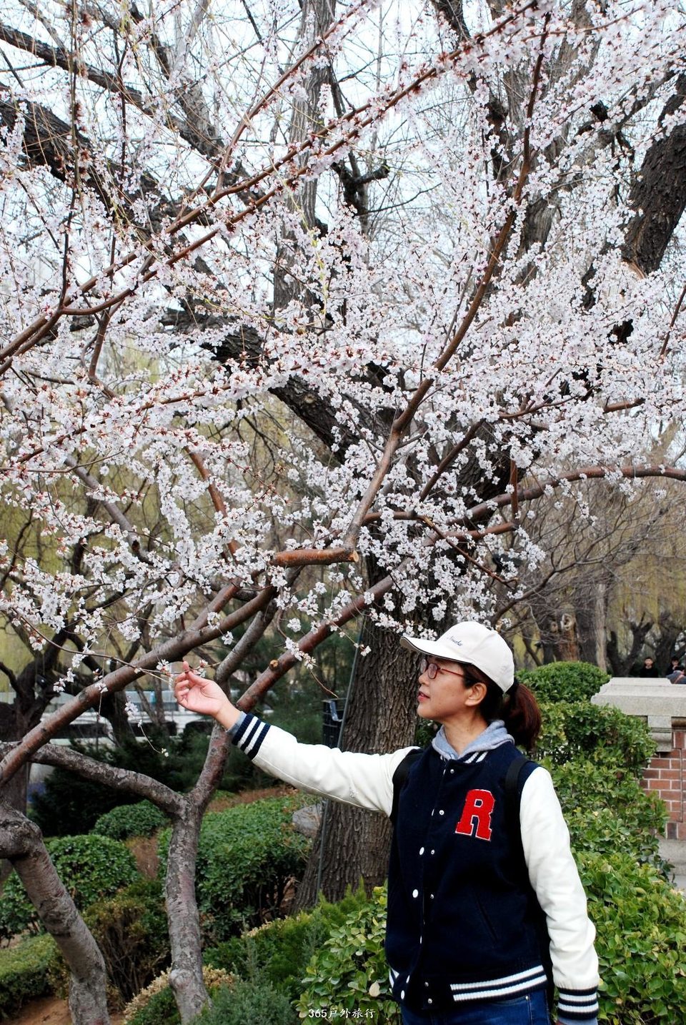 mmexport1553774398824