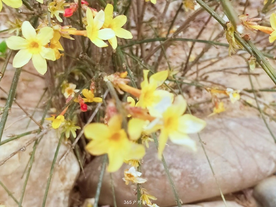 IMG20190328133945_mh1553764210533