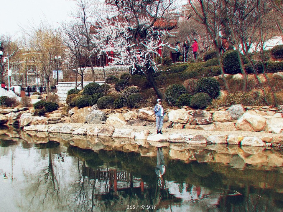 mmexport1553762130516_mh1553794146913