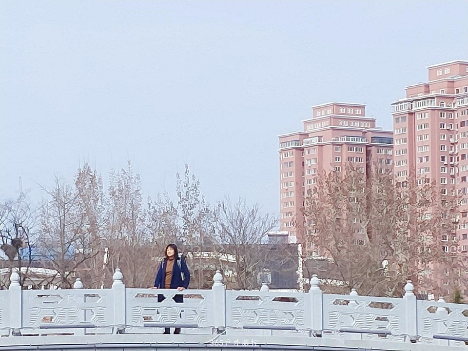 IMG20190328135858_mh1553763988728