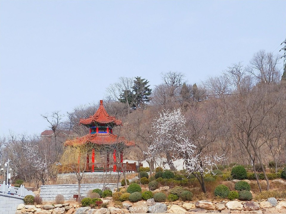 IMG20190328135837_mh1553764113190