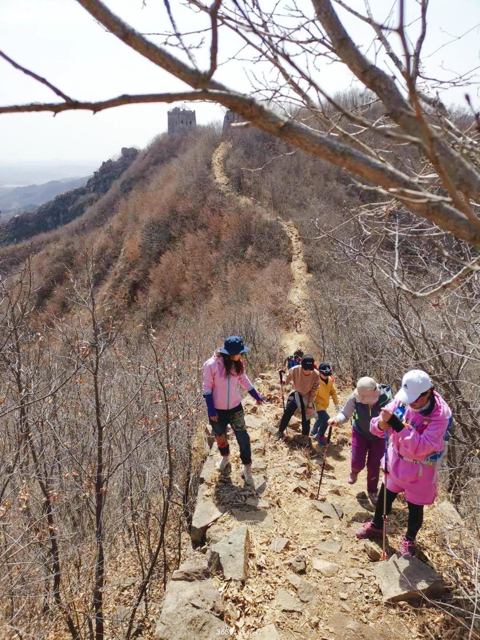 mmexport1554532620234_mh1554639364086