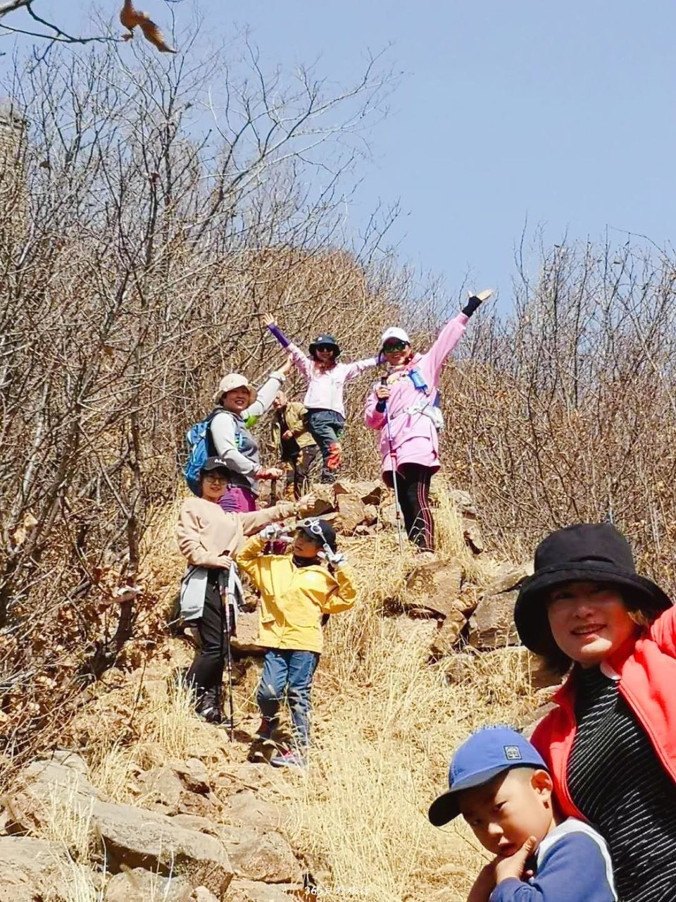 mmexport1554532009643_mh1554639278581