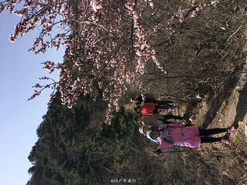 mmexport1554550111859