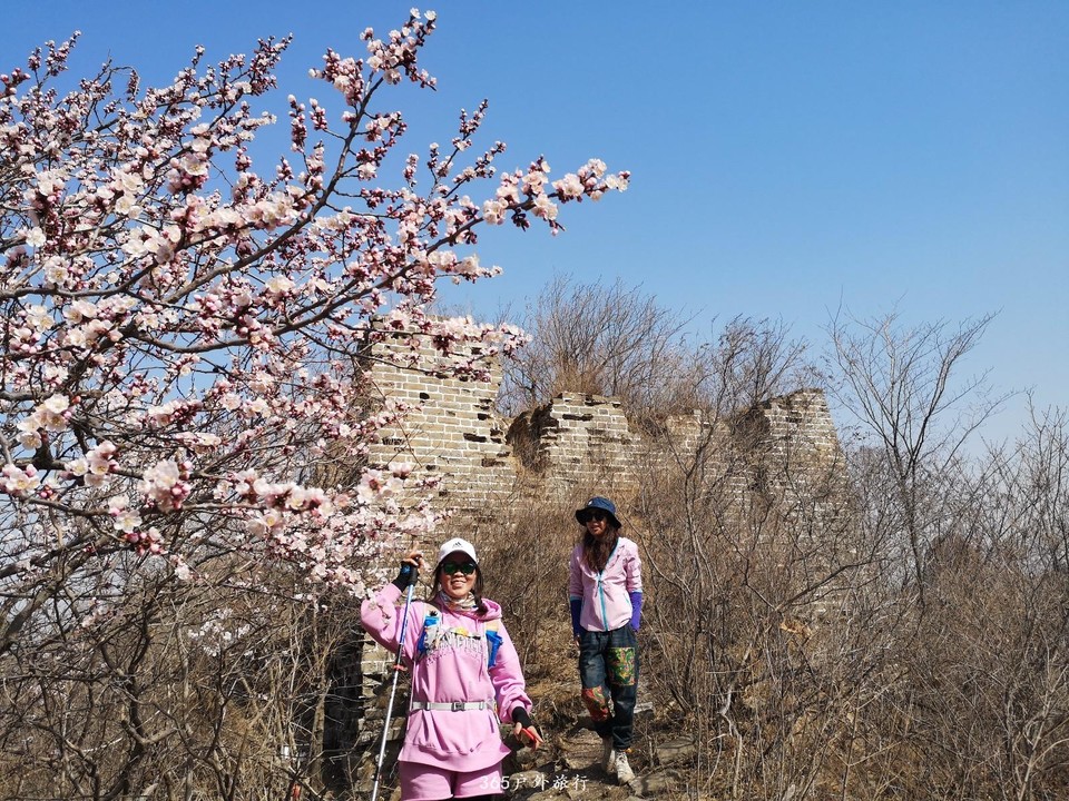 mmexport1554542710853