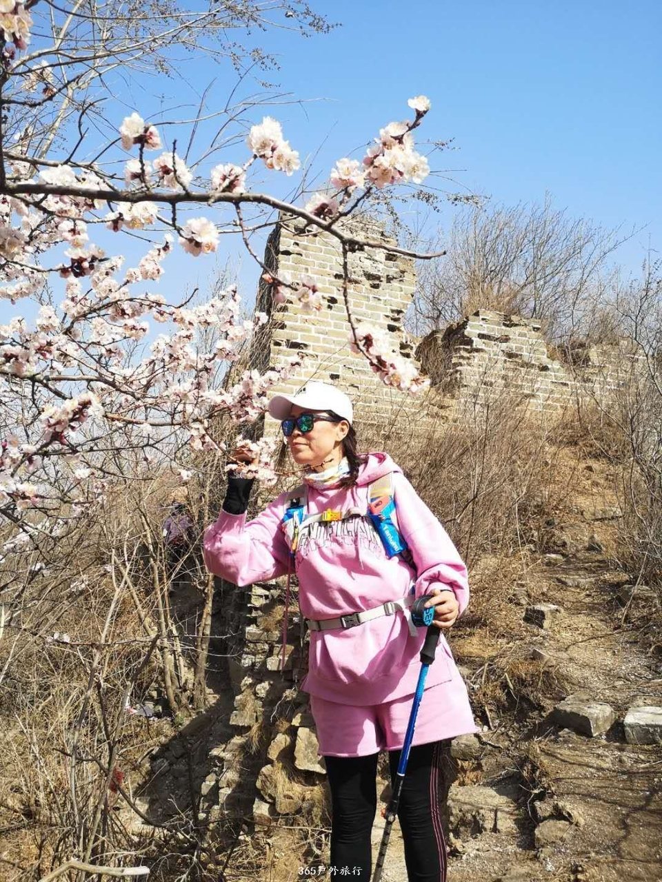 mmexport1554531984814