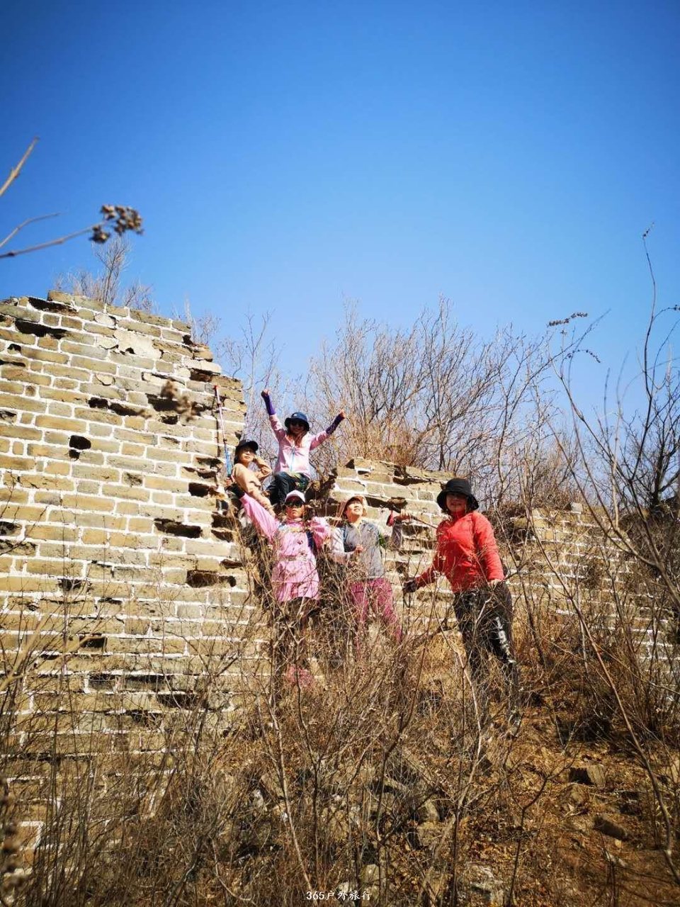 mmexport1554531995702