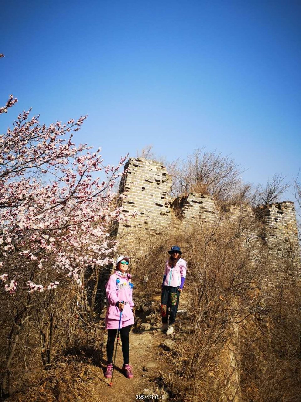 mmexport1554531998703