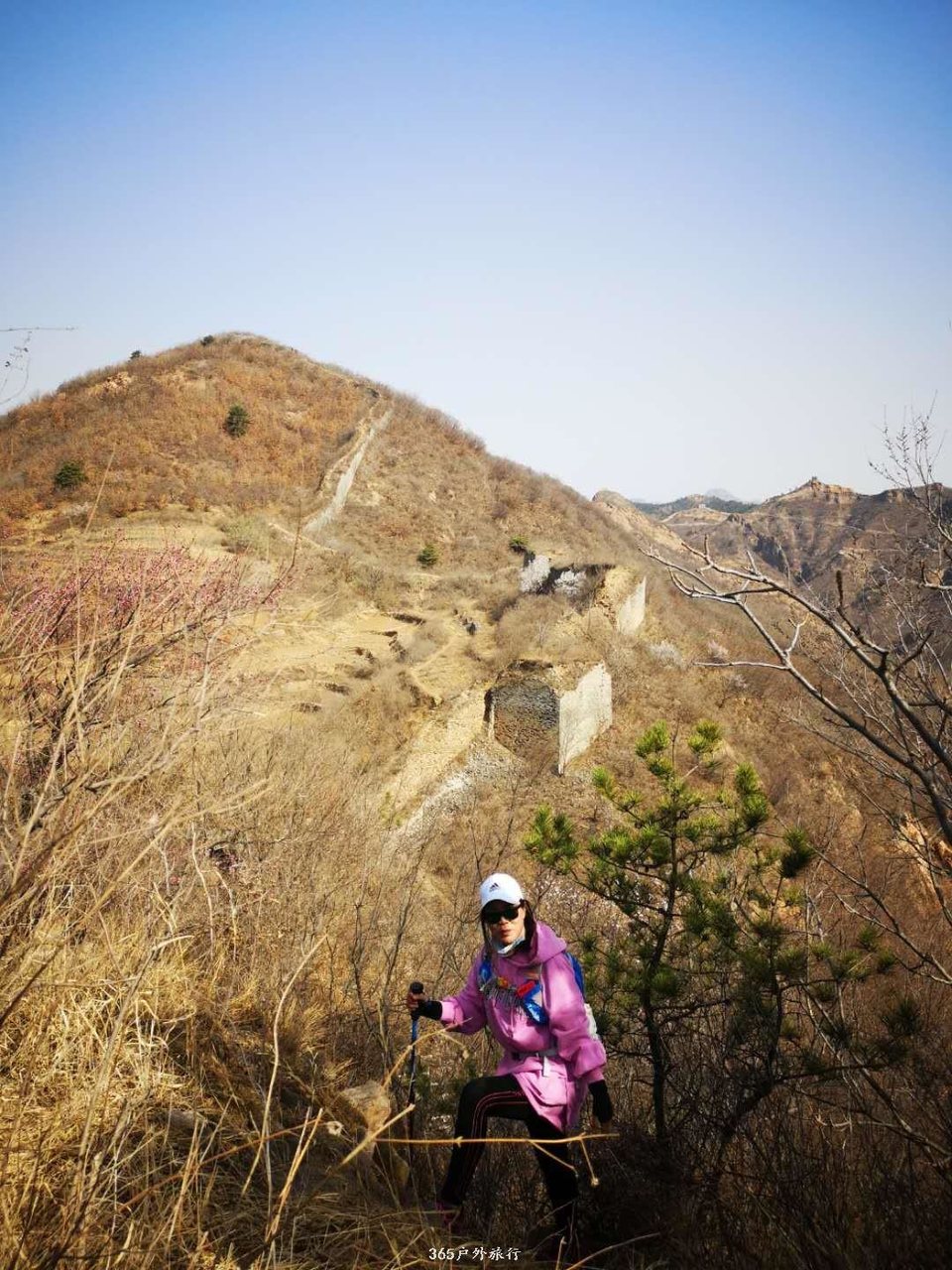 mmexport1554532006189