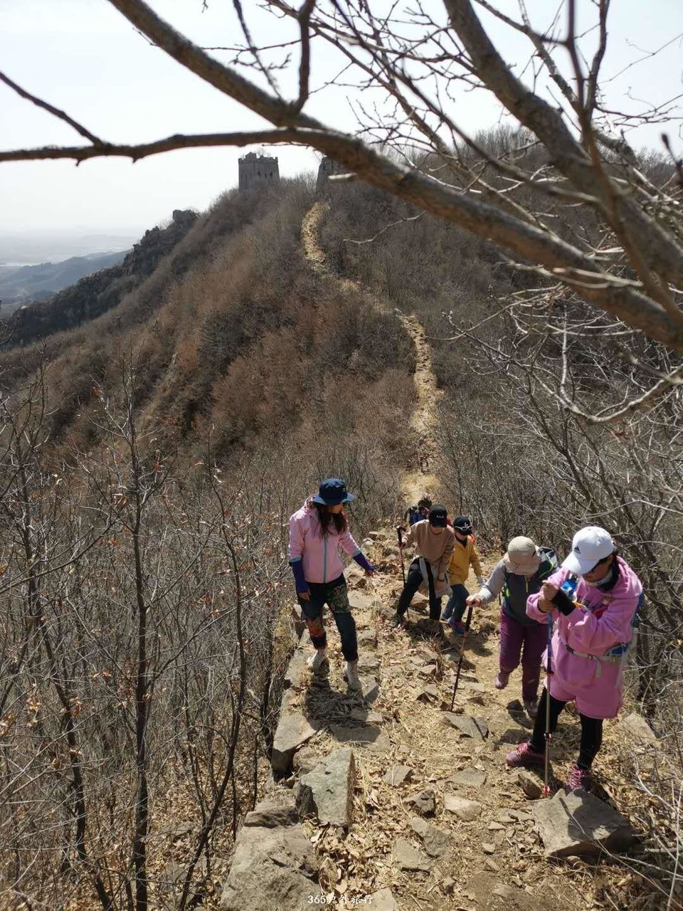 mmexport1554532620234