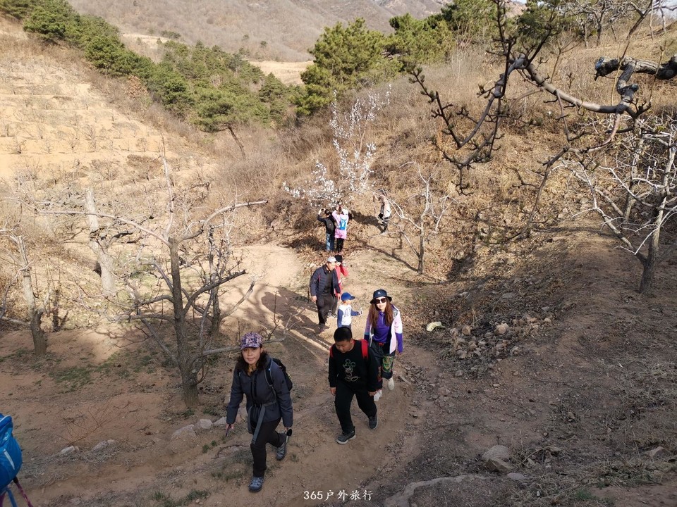 mmexport1554592419610