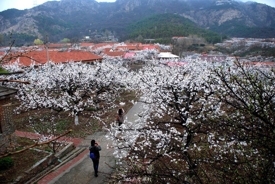 mmexport1555800864597