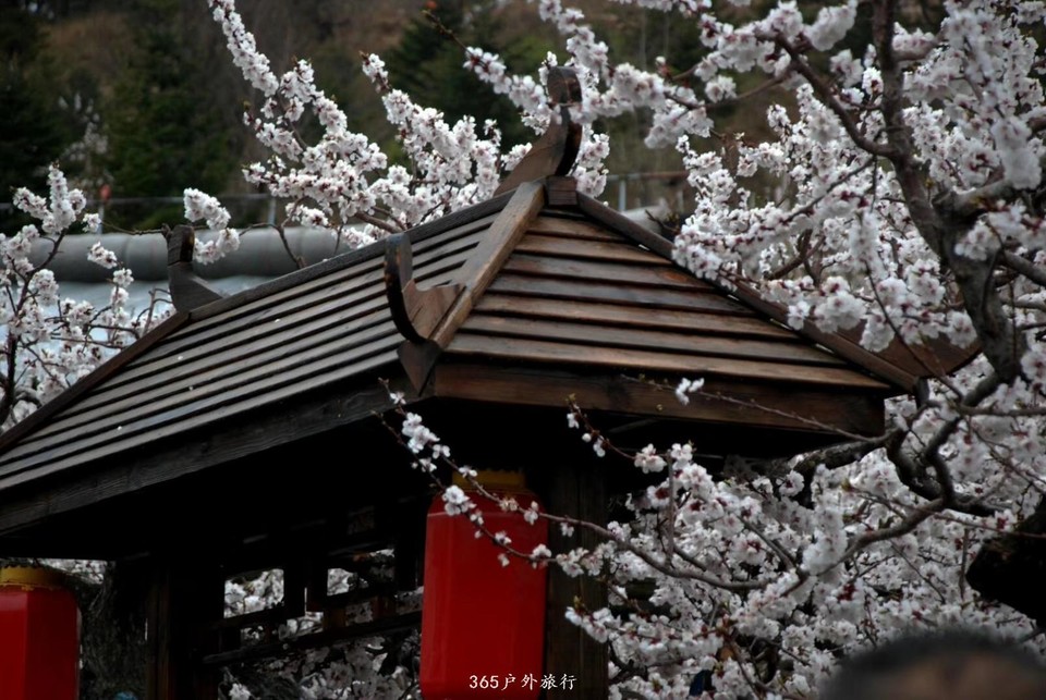 mmexport1555816990457